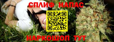 сатива Ливны